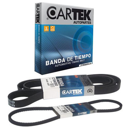 Picture for category Belts