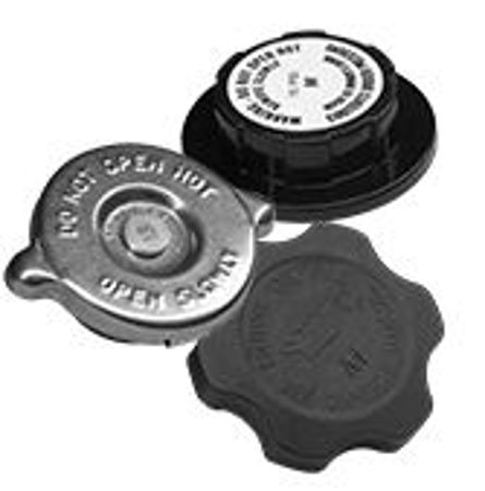 Picture for category Caps